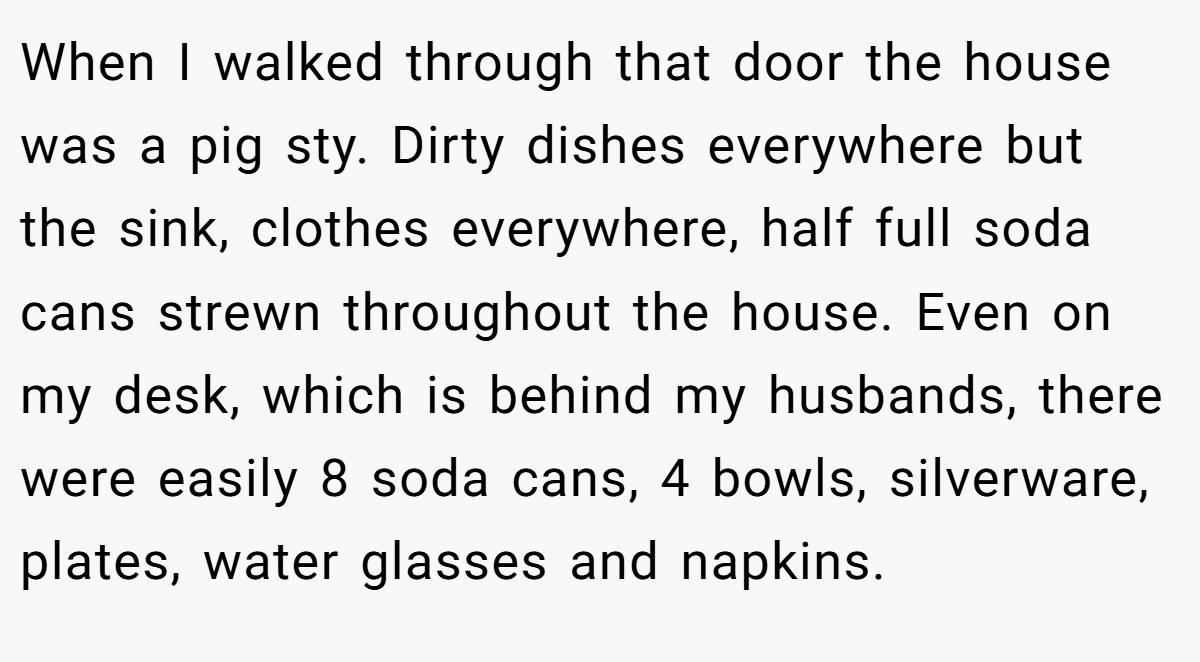 When I walked through that door the house was a pig sty. Dirty dishes everywhere but the sink, clothes everywhere, half full soda cans strewn throughout the house. Even on my desk, which is behind my husbands, there were easily 8 soda cans, 4 bowls, silverware, plates, water glasses and napkins.