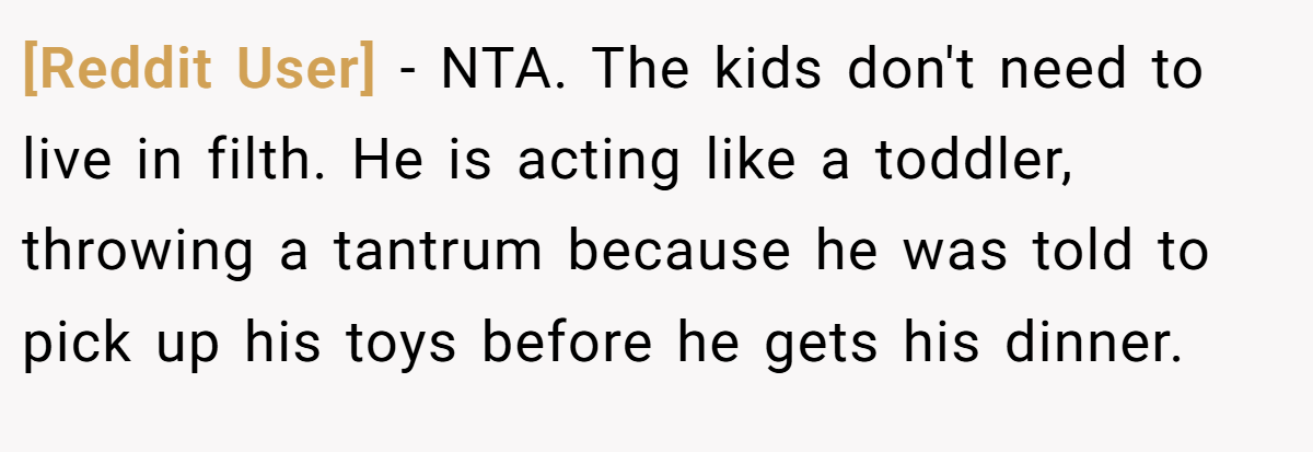 [Reddit User] - NTA. The kids don't need to live in filth. He is acting like a toddler, throwing a tantrum because he was told to pick up his toys before he gets his dinner.
