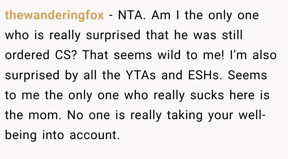 thewanderingfox − NTA. Am I the only one who is really surprised that he was still ordered CS? That seems wild to me! I’m also surprised by all the YTAs and ESHs. Seems to me the only one who really sucks here is the mom. No one is really taking your well-being into account.