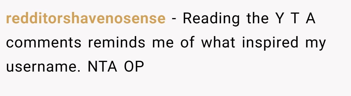redditorshavenosense − Reading the Y T A comments reminds me of what inspired my username. NTA OP