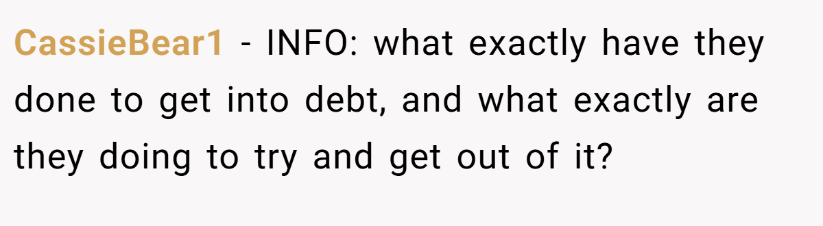 CassieBear1 − INFO: what exactly have they done to get into debt, and what exactly are they doing to try and get out of it?