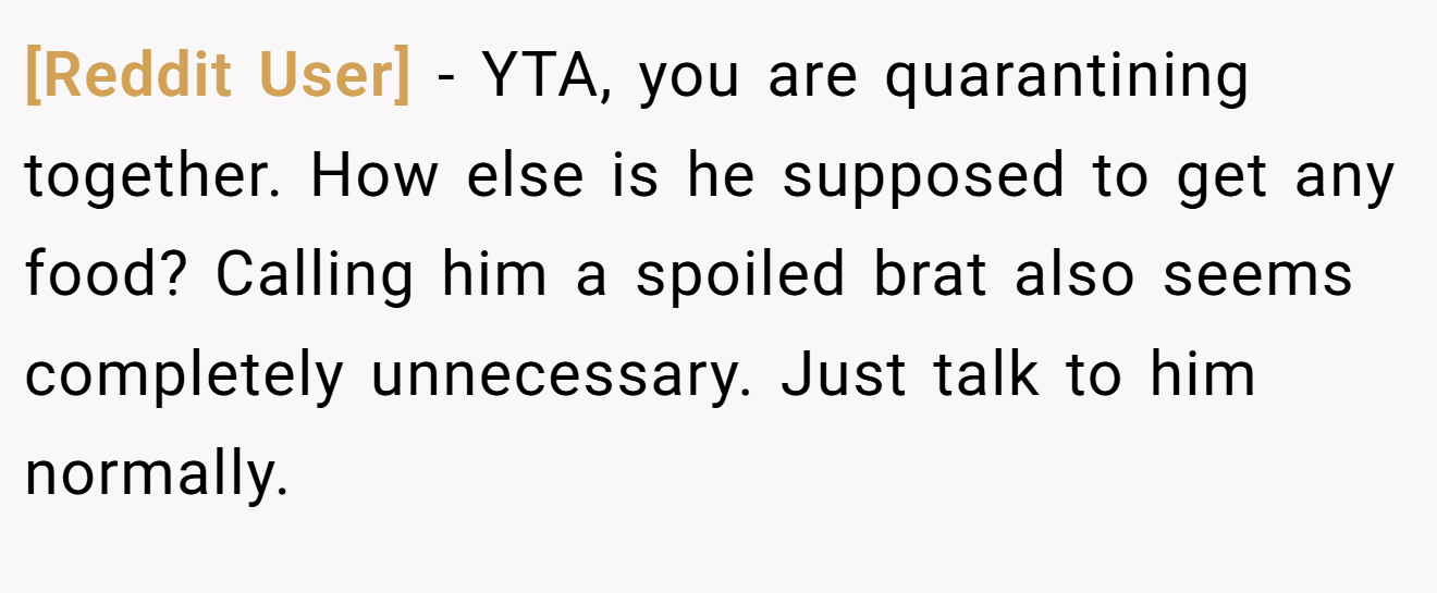 [Reddit User] - YTA, you are quarantining together. How else is he supposed to get any food? Calling him a spoiled brat also seems completely unnecessary. Just talk to him normally.