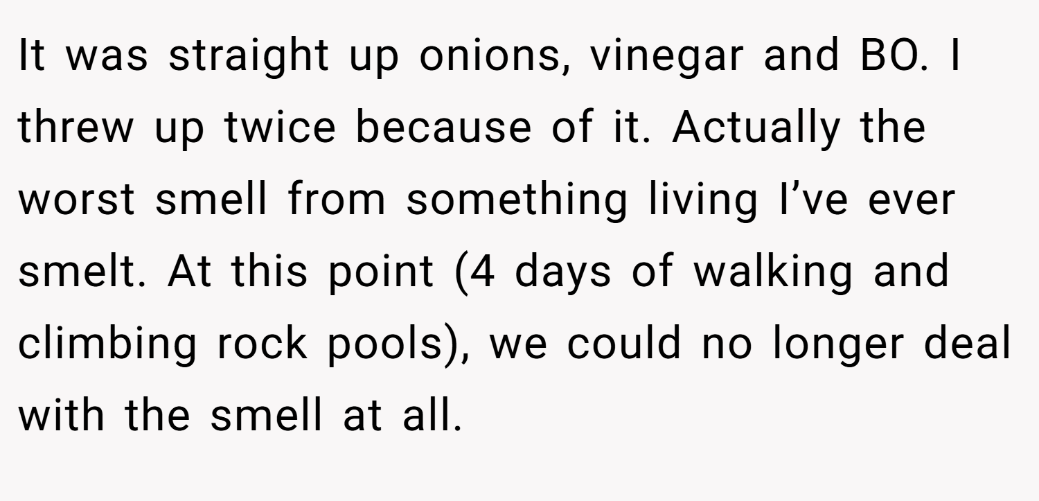 It was straight up onions, vinegar and BO. I threw up twice because of it. Actually the worst smell from something living I’ve ever smelt. At this point (4 days of walking and climbing rock pools), we could no longer deal with the smell at all.