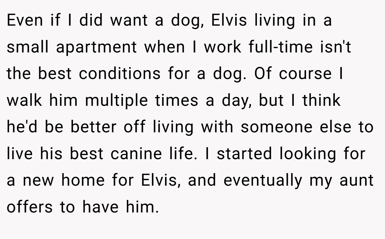 Even if I did want a dog, Elvis living in a small apartment when I work full-time isn't the best conditions for a dog. Of course I walk him multiple times a day, but I think he'd be better off living with someone else to live his best canine life. I started looking for a new home for Elvis, and eventually my aunt offers to have him.