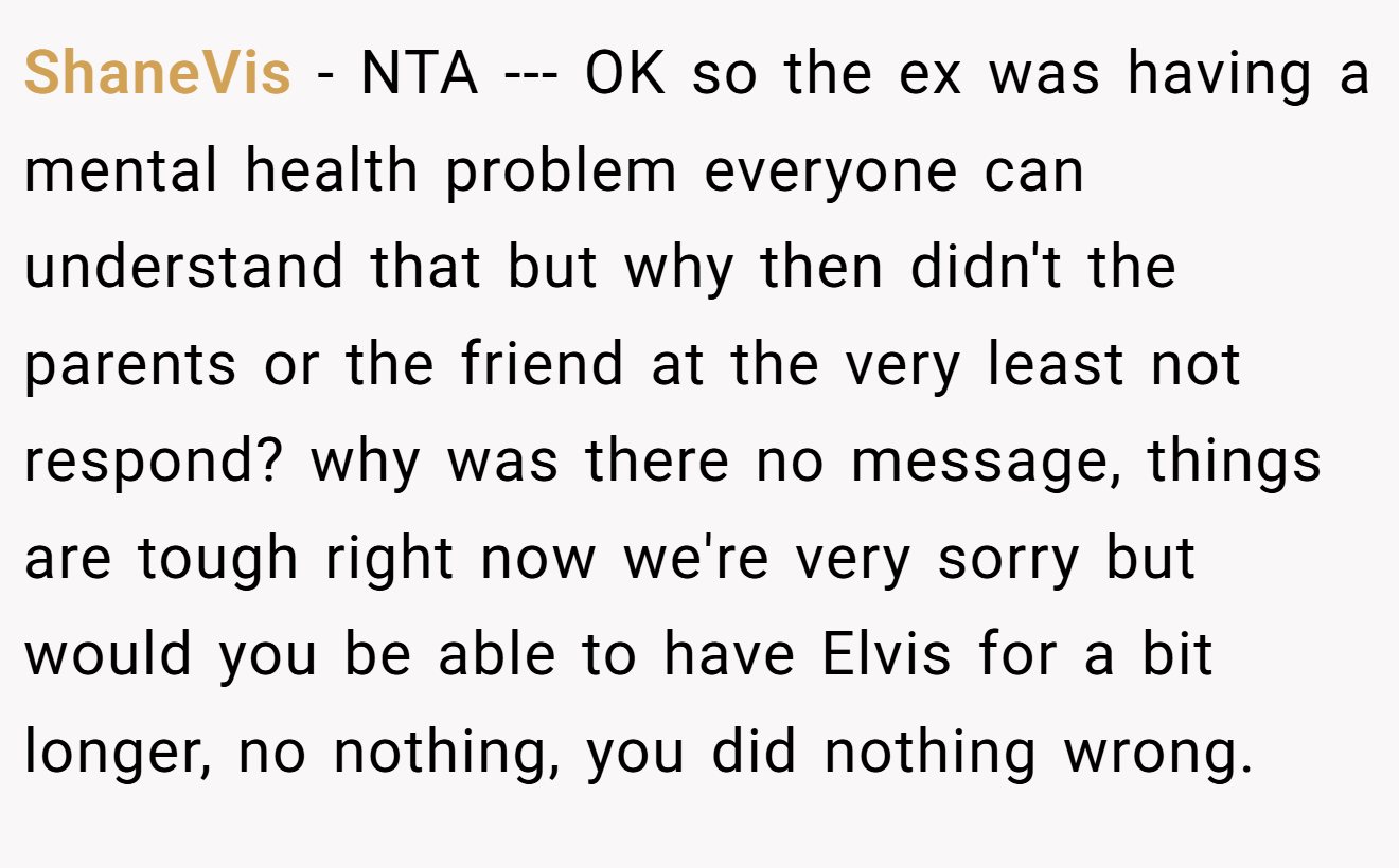 ShaneVis - NTA --- OK so the ex was having a mental health problem everyone can understand that but why then didn't the parents or the friend at the very least not respond? why was there no message, things are tough right now we're very sorry but would you be able to have Elvis for a bit longer, no nothing, you did nothing wrong.