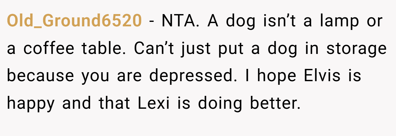 Old_Ground6520 - NTA. A dog isn’t a lamp or a coffee table. Can’t just put a dog in storage because you are depressed. I hope Elvis is happy and that Lexi is doing better.