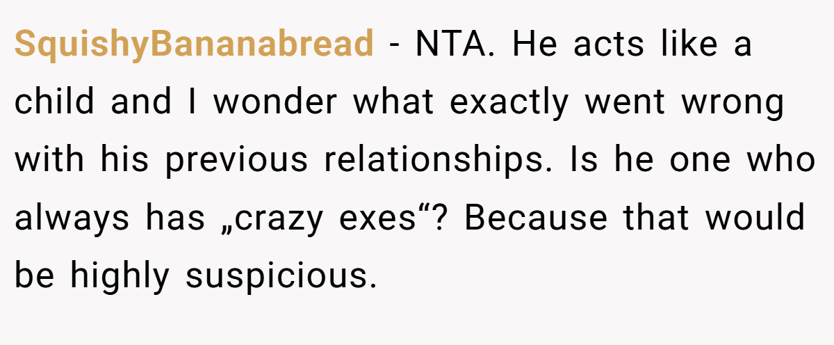 SquishyBananabread − NTA. He acts like a child and I wonder what exactly went wrong with his previous relationships. Is he one who always has „crazy exes“? Because that would be highly suspicious.