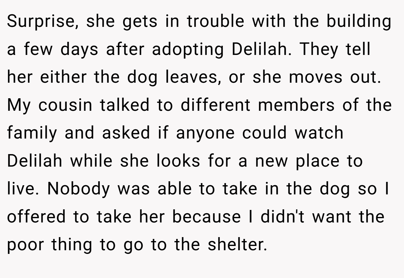 Surprise, she gets in trouble with the building a few days after adopting Delilah. They tell her either the dog leaves, or she moves out. My cousin talked to different members of the family and asked if anyone could watch Delilah while she looks for a new place to live. Nobody was able to take in the dog so I offered to take her because I didn't want the poor thing to go to the shelter.