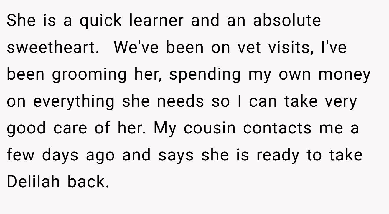 She is a quick learner and an absolute sweetheart.  We've been on vet visits, I've been grooming her, spending my own money on everything she needs so I can take very good care of her. My cousin contacts me a few days ago and says she is ready to take Delilah back.