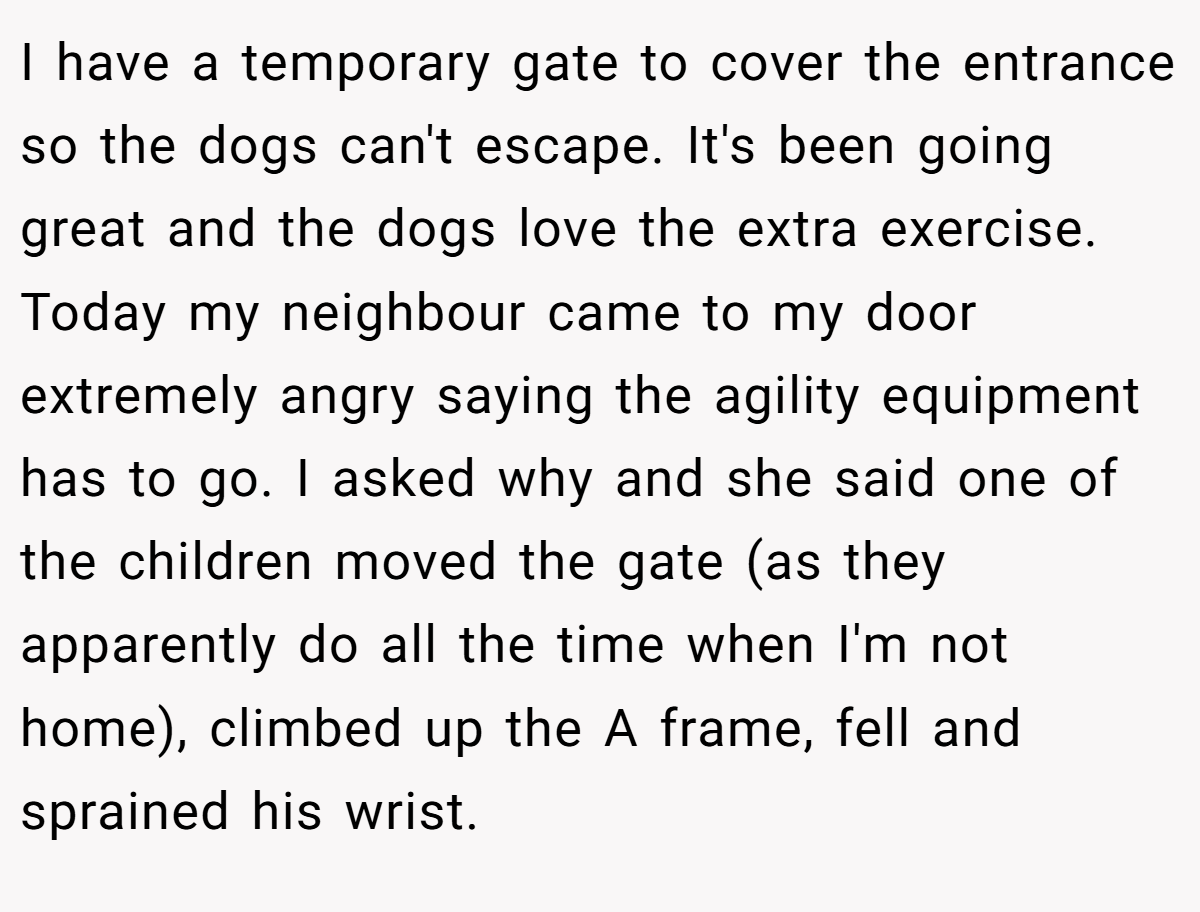 I have a temporary gate to cover the entrance so the dogs can't escape. It's been going great and the dogs love the extra exercise. Today my neighbour came to my door extremely angry saying the agility equipment has to go. I asked why and she said one of the children moved the gate (as they apparently do all the time when I'm not home), climbed up the A frame, fell and sprained his wrist.