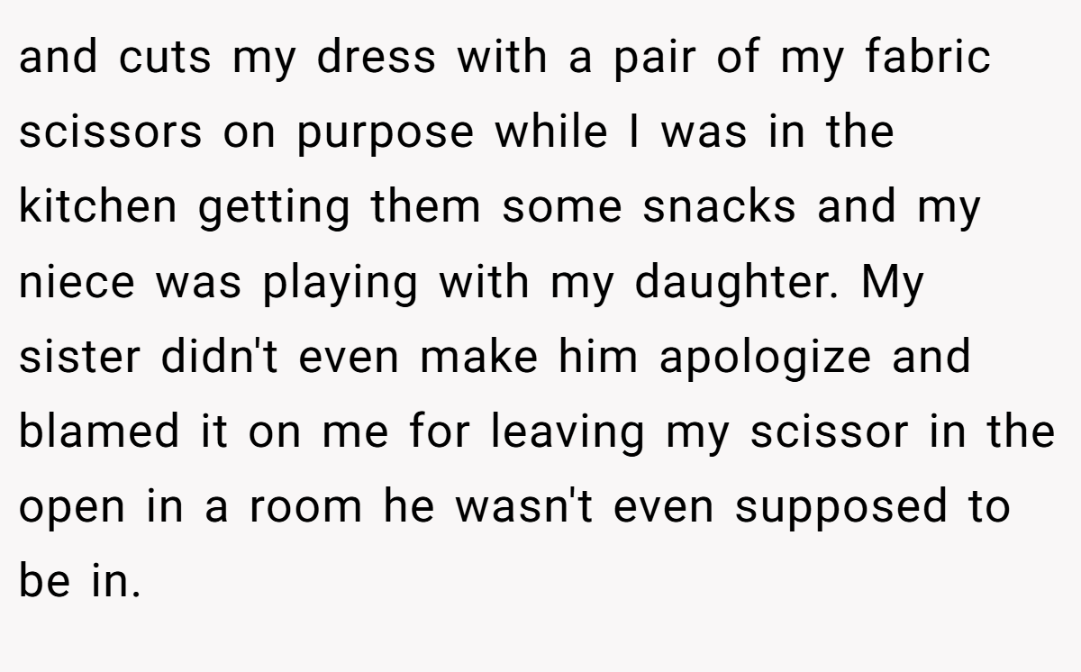and cuts my dress with a pair of my fabric scissors on purpose while I was in the kitchen getting them some snacks and my niece was playing with my daughter. My sister didn't even make him apologize and blamed it on me for leaving my scissor in the open in a room he wasn't even supposed to be in.