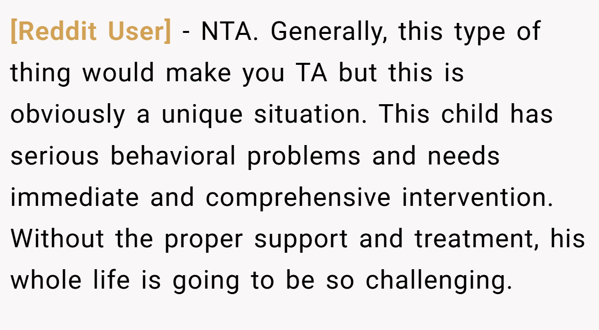 [Reddit User] − NTA. Generally, this type of thing would make you TA but this is obviously a unique situation. This child has serious behavioral problems and needs immediate and comprehensive intervention. Without the proper support and treatment, his whole life is going to be so challenging.