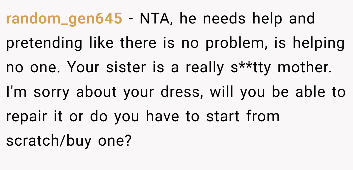 random_gen645 − NTA, he needs help and pretending like there is no problem, is helping no one. Your sister is a really s**tty mother. I'm sorry about your dress, will you be able to repair it or do you have to start from scratch/buy one?