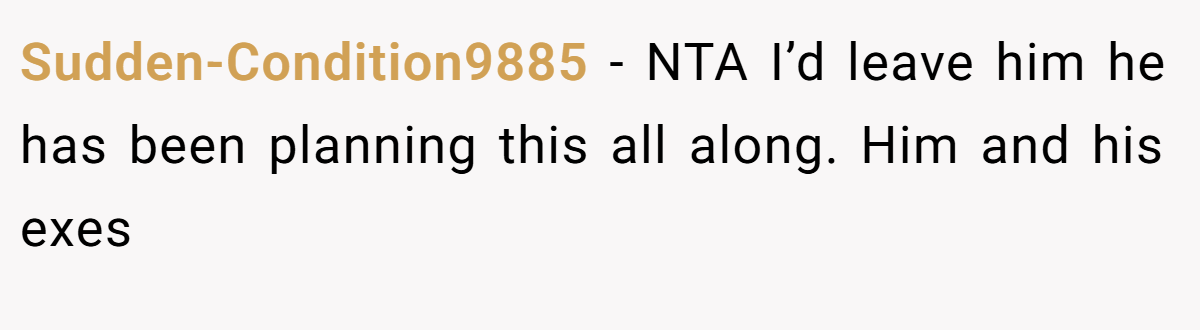 Sudden-Condition9885 − NTA I’d leave him he has been planning this all along. Him and his exes
