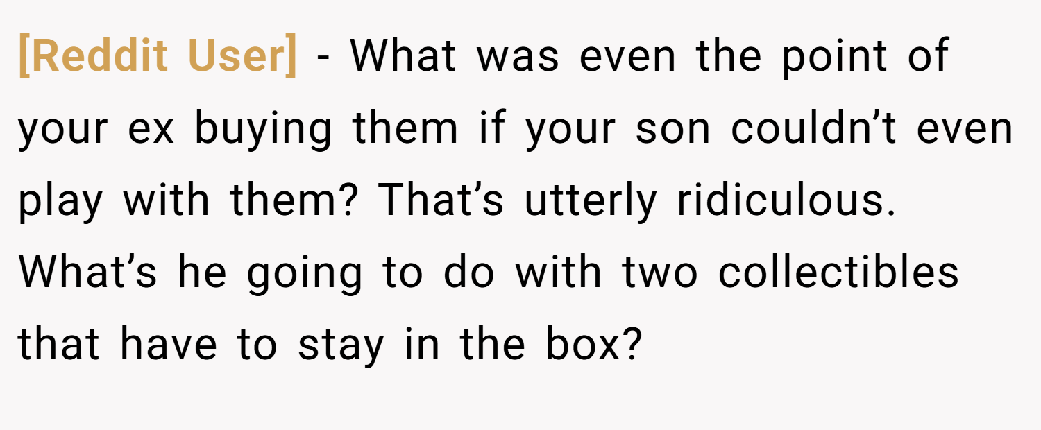[Reddit User] − What was even the point of your ex buying them if your son couldn’t even play with them? That’s utterly ridiculous. What’s he going to do with two collectibles that have to stay in the box?