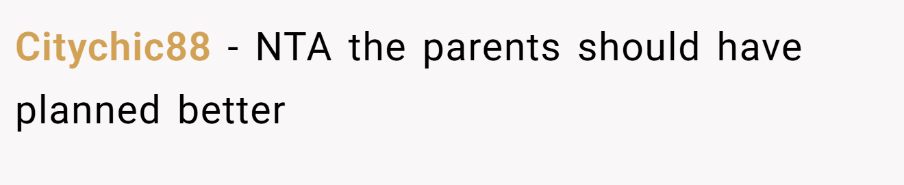 Citychic88 - NTA the parents should have planned better