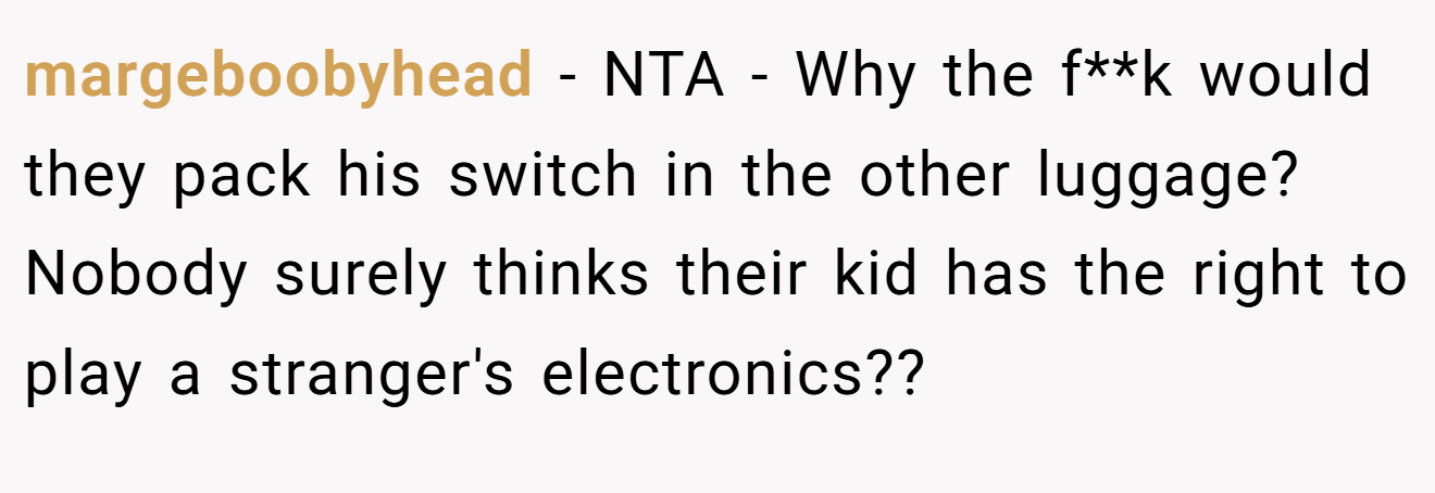 margeboobyhead - NTA - Why the f**k would they pack his switch in the other luggage? Nobody surely thinks their kid has the right to play a stranger's electronics??