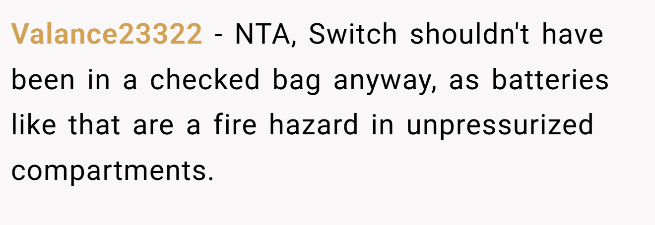 Valance23322 - NTA, Switch shouldn't have been in a checked bag anyway, as batteries like that are a fire hazard in unpressurized compartments.