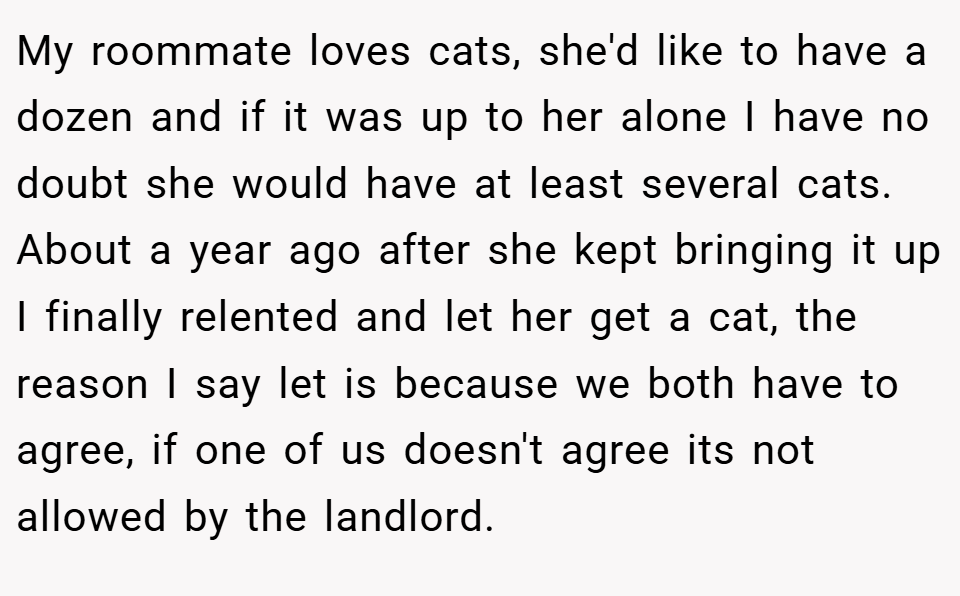 My roommate loves cats, she'd like to have a dozen and if it was up to her alone I have no doubt she would have at least several cats. About a year ago after she kept bringing it up I finally relented and let her get a cat, the reason I say let is because we both have to agree, if one of us doesn't agree its not allowed by the landlord.
