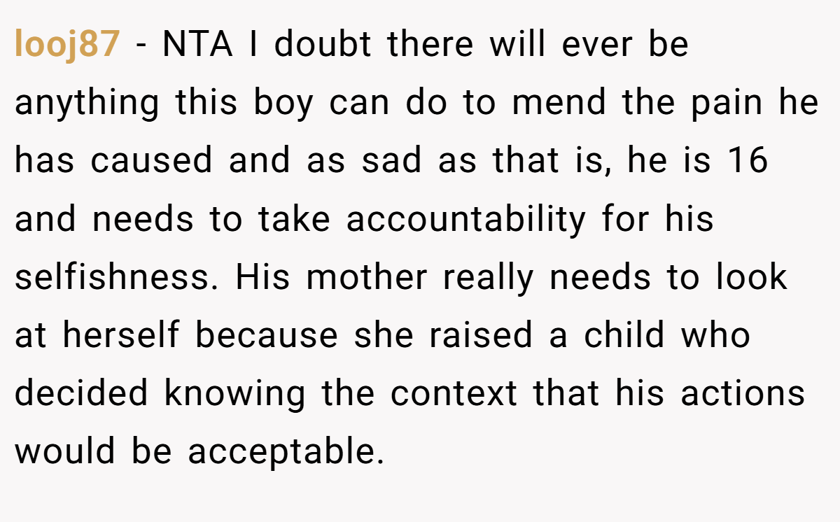 looj87 − NTA I doubt there will ever be anything this boy can do to mend the pain he has caused and as sad as that is, he is 16 and needs to take accountability for his selfishness. His mother really needs to look at herself because she raised a child who decided knowing the context that his actions would be acceptable.