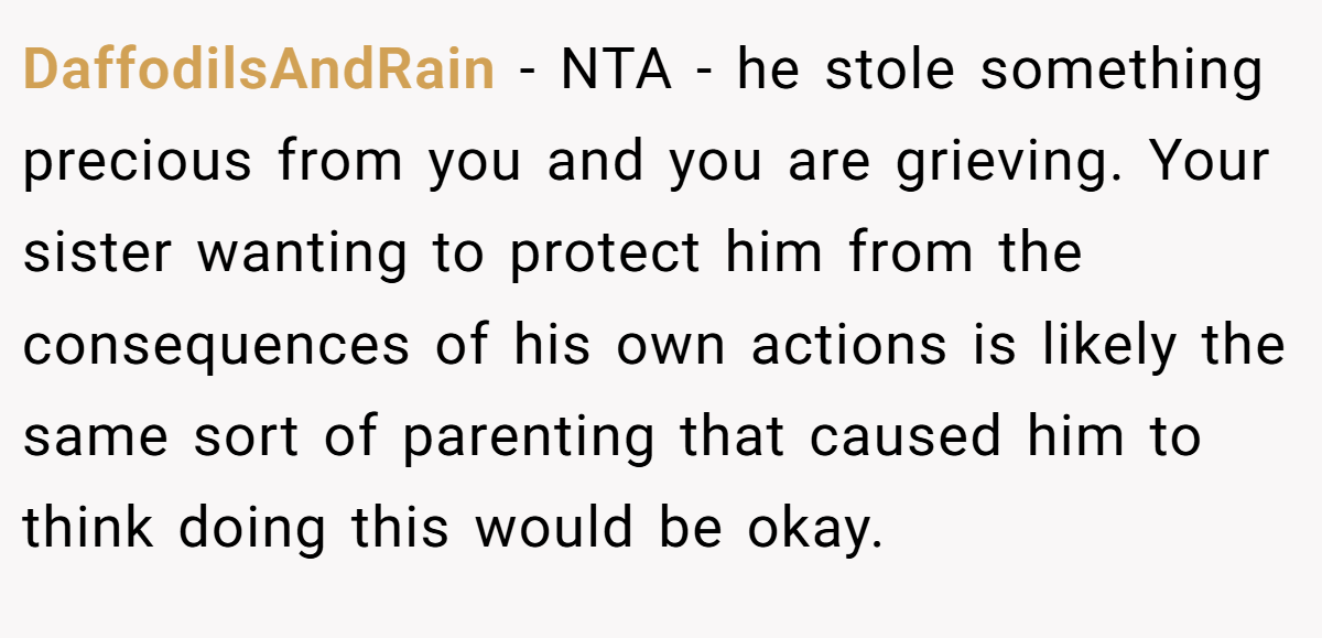DaffodilsAndRain − NTA - he stole something precious from you and you are grieving. Your sister wanting to protect him from the consequences of his own actions is likely the same sort of parenting that caused him to think doing this would be okay.