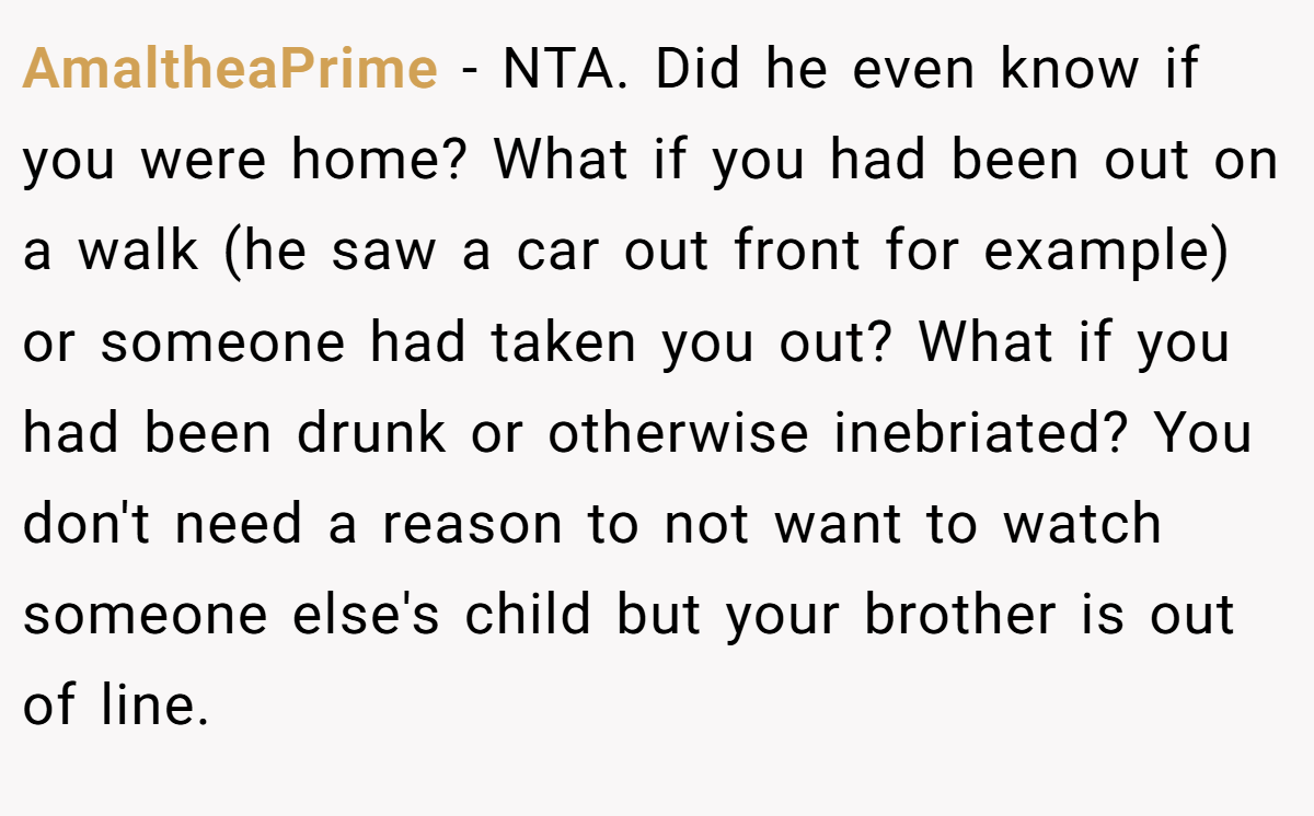AmaltheaPrime − NTA. Did he even know if you were home? What if you had been out on a walk (he saw a car out front for example) or someone had taken you out? What if you had been drunk or otherwise inebriated? You don't need a reason to not want to watch someone else's child but your brother is out of line.