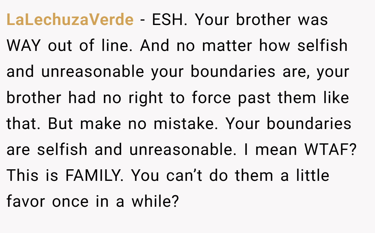 LaLechuzaVerde − ESH. Your brother was WAY out of line. And no matter how selfish and unreasonable your boundaries are, your brother had no right to force past them like that. But make no mistake. Your boundaries are selfish and unreasonable. I mean WTAF? This is FAMILY. You can’t do them a little favor once in a while?