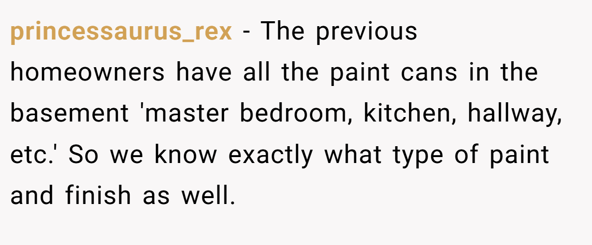 princessaurus_rex − The previous homeowners have all the paint cans in the basement 'master bedroom, kitchen, hallway, etc.' So we know exactly what type of paint and finish as well.