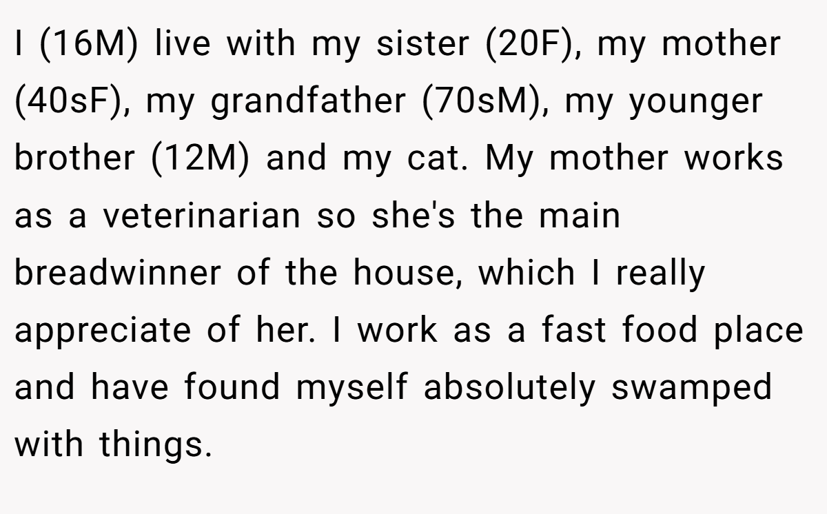 I (16M) live with my sister (20F), my mother (40sF), my grandfather (70sM), my younger brother (12M) and my cat. My mother works as a veterinarian so she's the main breadwinner of the house, which I really appreciate of her. I work as a fast food place and have found myself absolutely swamped with things.