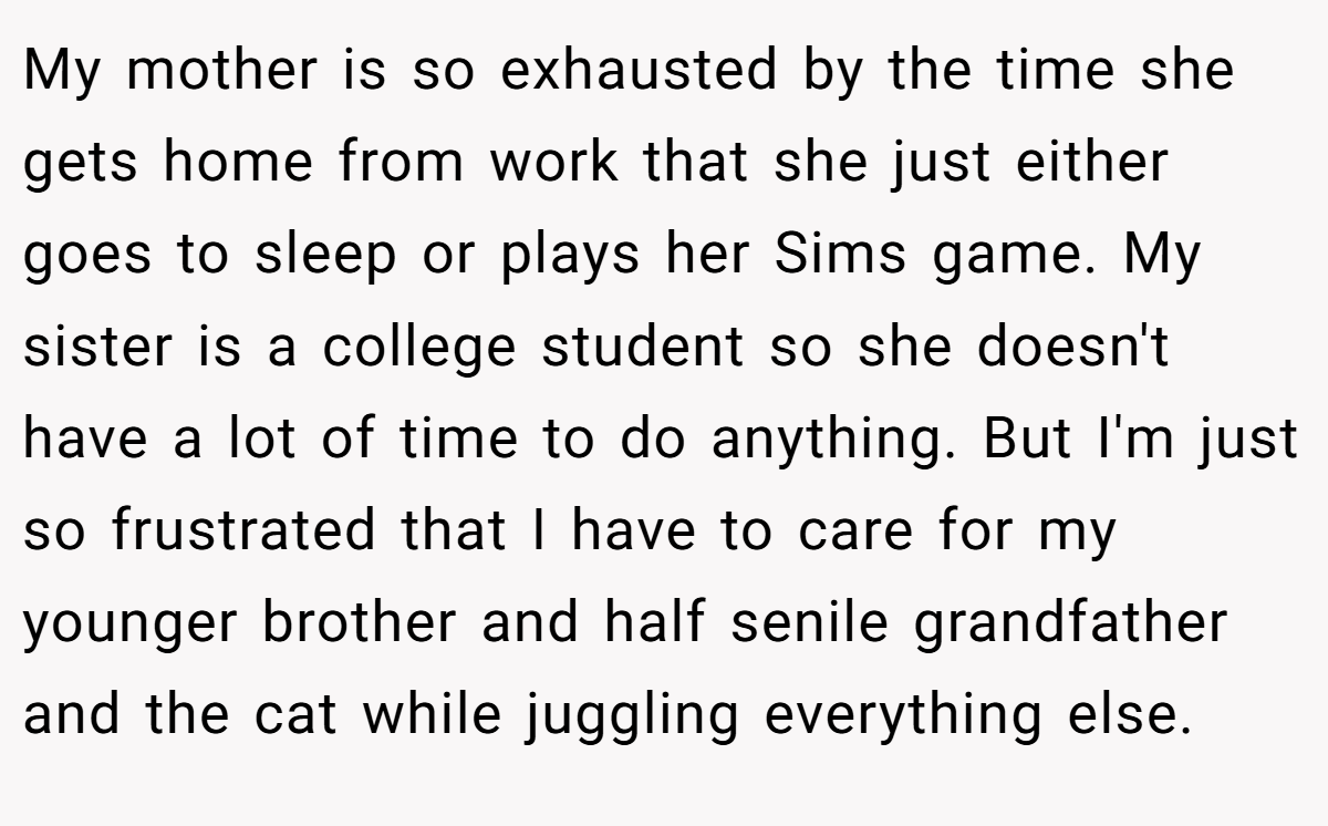 My mother is so exhausted by the time she gets home from work that she just either goes to sleep or plays her Sims game. My sister is a college student so she doesn't have a lot of time to do anything. But I'm just so frustrated that I have to care for my younger brother and half senile grandfather and the cat while juggling everything else.