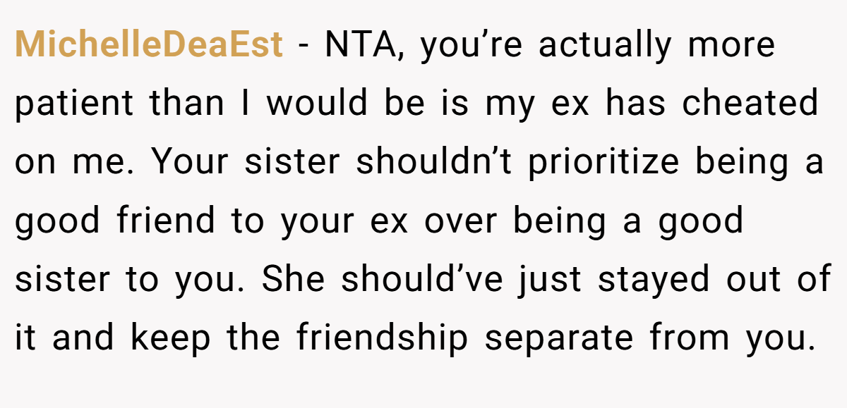MichelleDeaEst − NTA, you’re actually more patient than I would be is my ex has cheated on me. Your sister shouldn’t prioritize being a good friend to your ex over being a good sister to you. She should’ve just stayed out of it and keep the friendship separate from you.