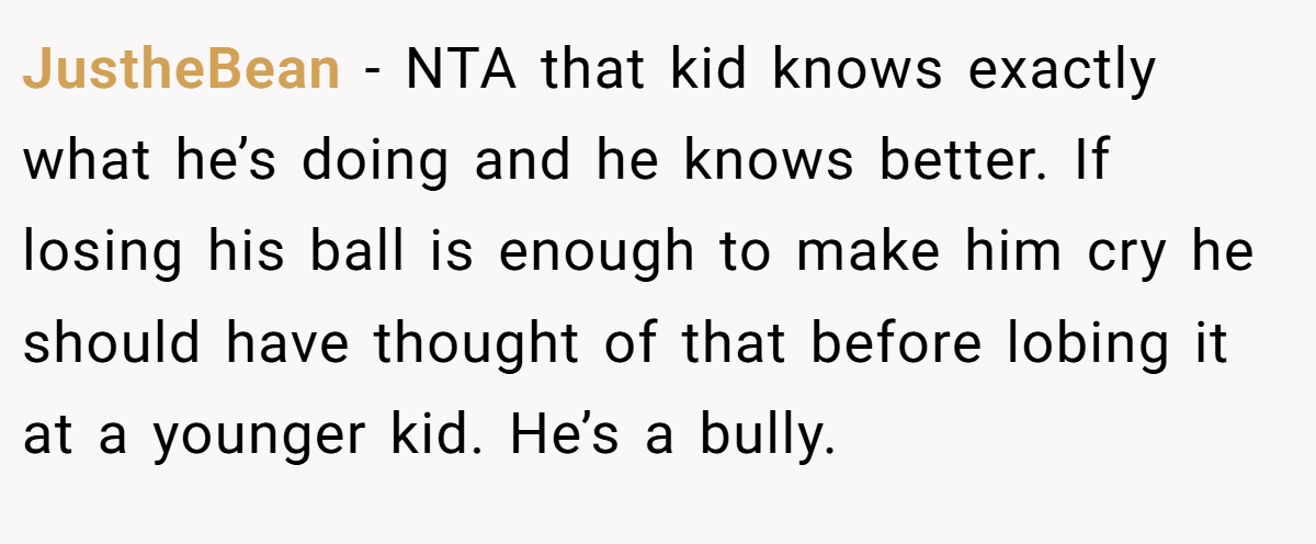JustheBean − NTA that kid knows exactly what he’s doing and he knows better. If losing his ball is enough to make him cry he should have thought of that before lobing it at a younger kid. He’s a bully.