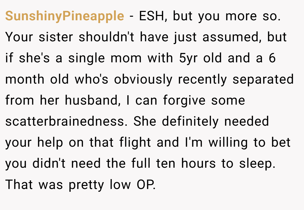 SunshinyPineapple − ESH, but you more so. Your sister shouldn't have just assumed, but if she's a single mom with 5yr old and a 6 month old who's obviously recently separated from her husband, I can forgive some scatterbrainedness. She definitely needed your help on that flight and I'm willing to bet you didn't need the full ten hours to sleep. That was pretty low OP.