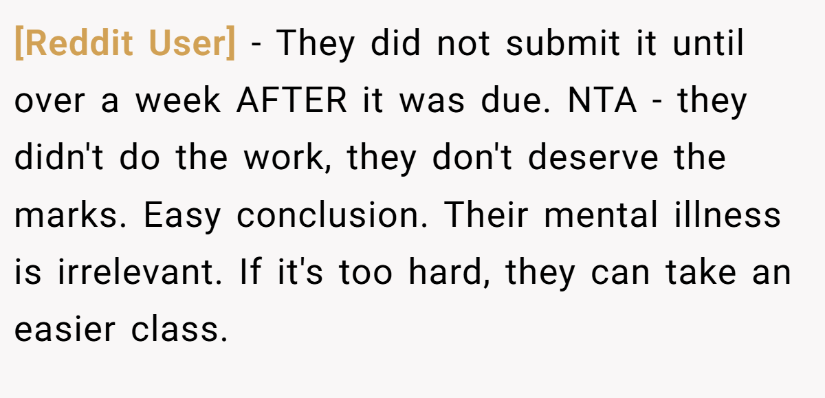 [Reddit User] − They did not submit it until over a week AFTER it was due. NTA - they didn't do the work, they don't deserve the marks. Easy conclusion. Their mental illness is irrelevant. If it's too hard, they can take an easier class.