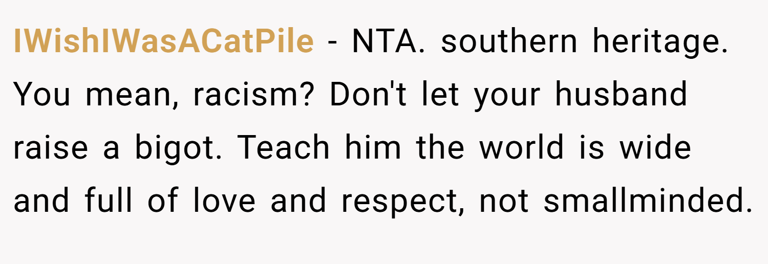 IWishIWasACatPile − NTA. southern heritage. You mean, racism? Don't let your husband raise a bigot. Teach him the world is wide and full of love and respect, not smallminded.