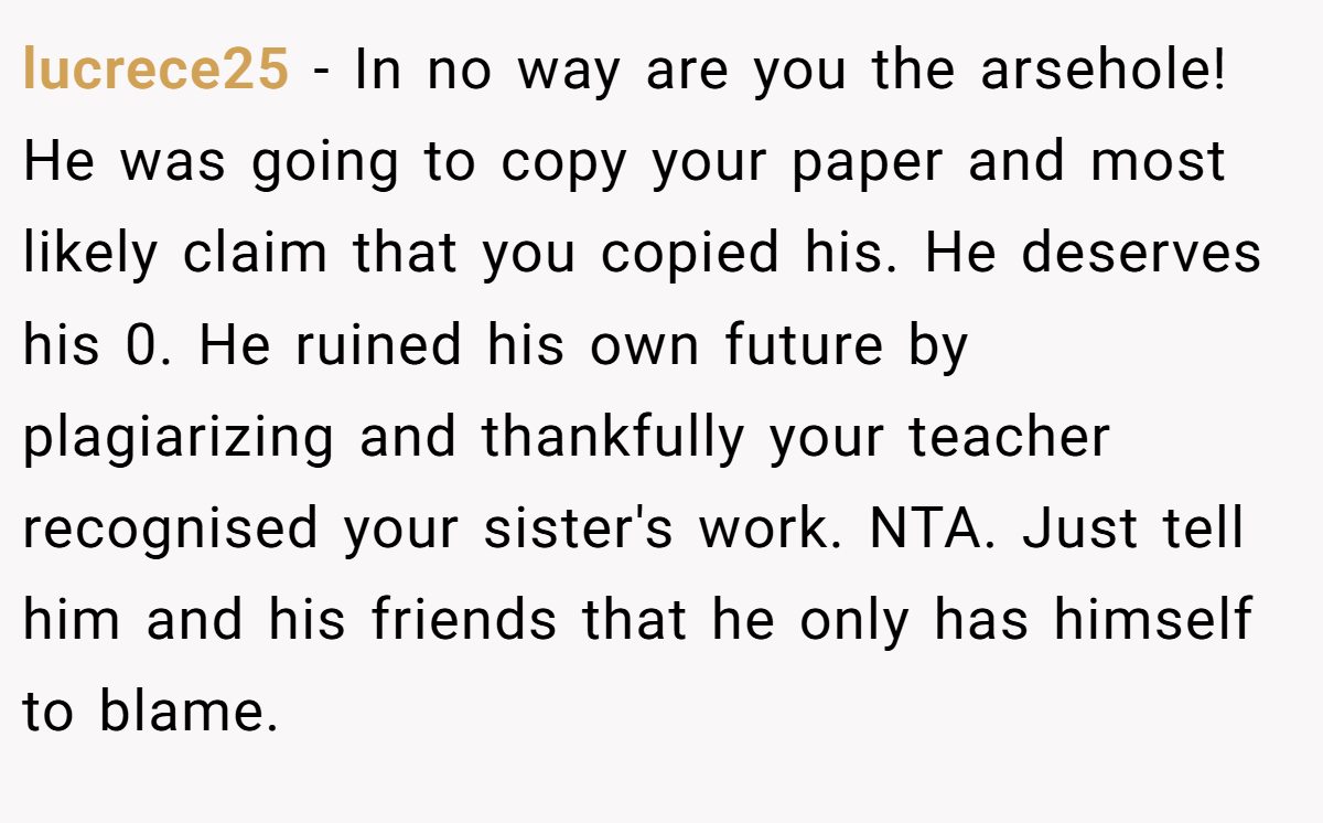 lucrece25 − In no way are you the arsehole! He was going to copy your paper and most likely claim that you copied his. He deserves his 0. He ruined his own future by plagiarizing and thankfully your teacher recognised your sister's work. NTA. Just tell him and his friends that he only has himself to blame.