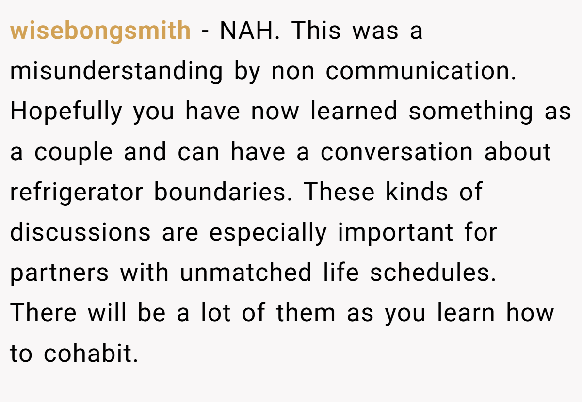 wisebongsmith − NAH. This was a misunderstanding by non communication. Hopefully you have now learned something as a couple and can have a conversation about refrigerator boundaries. These kinds of discussions are especially important for partners with unmatched life schedules. There will be a lot of them as you learn how to cohabit.