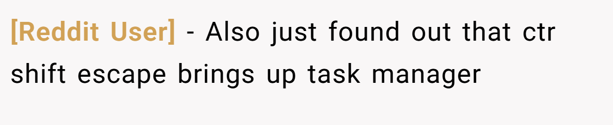 [Reddit User] − Also just found out that ctr shift escape brings up task manager