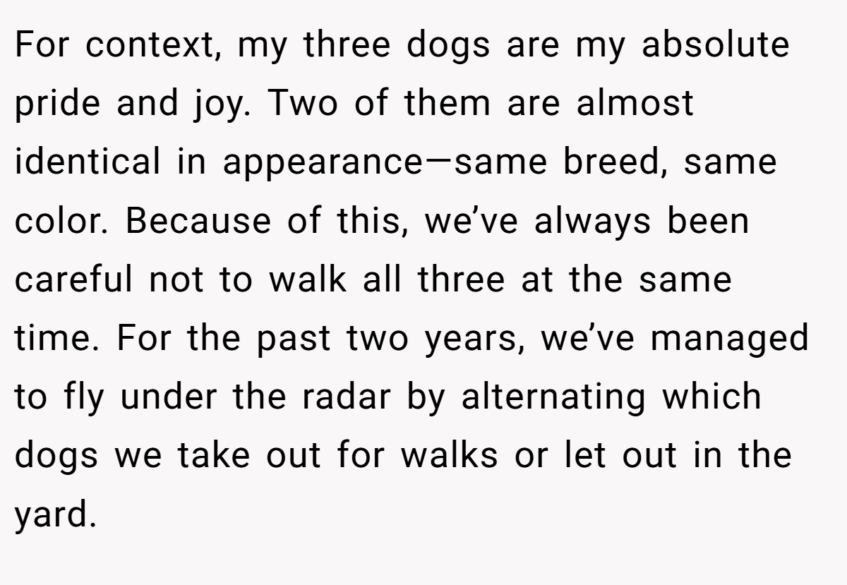 For context, my three dogs are my absolute pride and joy. Two of them are almost identical in appearance—same breed, same color. Because of this, we’ve always been careful not to walk all three at the same time. For the past two years, we’ve managed to fly under the radar by alternating which dogs we take out for walks or let out in the yard.