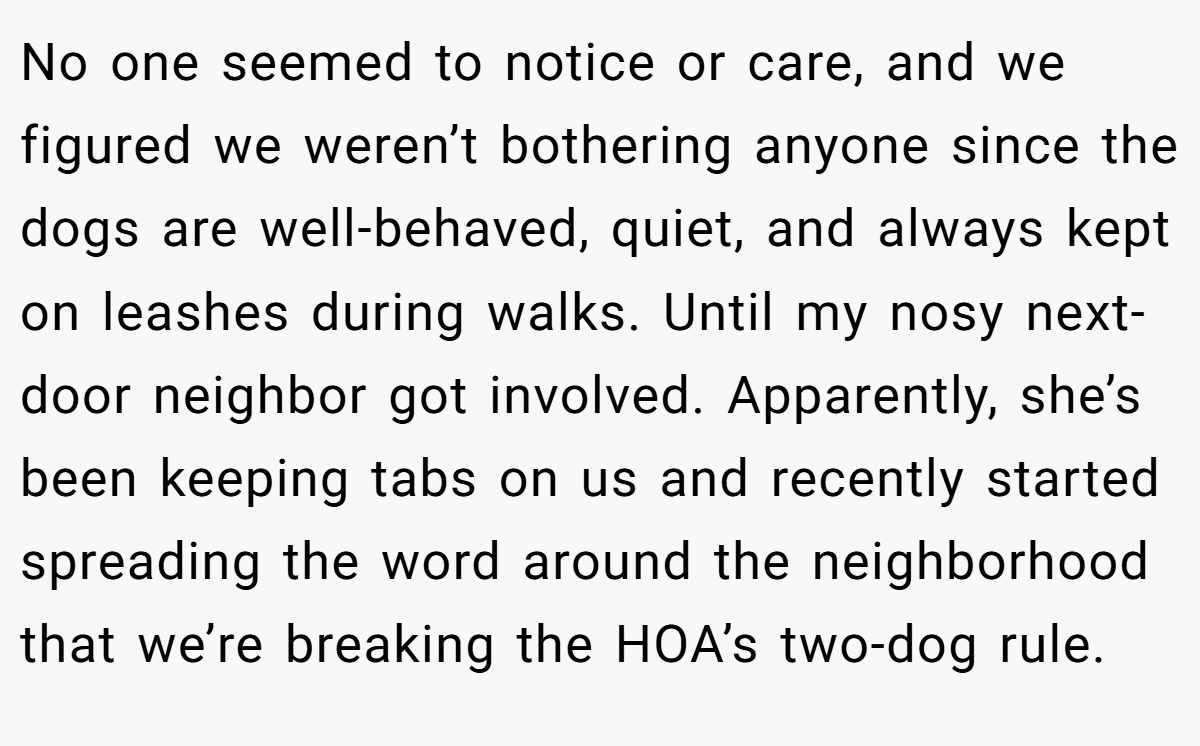 No one seemed to notice or care, and we figured we weren’t bothering anyone since the dogs are well-behaved, quiet, and always kept on leashes during walks. Until my nosy next-door neighbor got involved. Apparently, she’s been keeping tabs on us and recently started spreading the word around the neighborhood that we’re breaking the HOA’s two-dog rule.