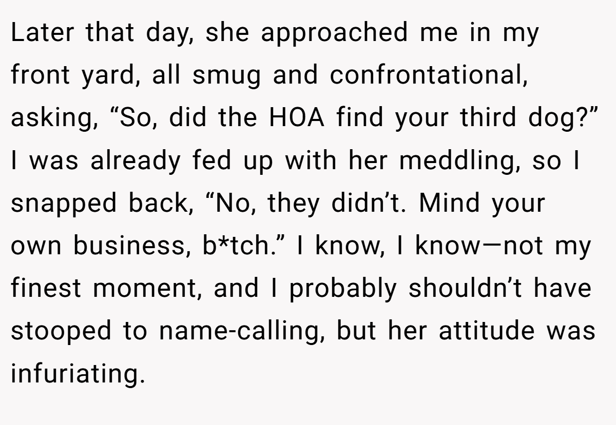 Later that day, she approached me in my front yard, all smug and confrontational, asking, “So, did the HOA find your third dog?” I was already fed up with her meddling, so I snapped back, “No, they didn’t. Mind your own business, b*tch.” I know, I know—not my finest moment, and I probably shouldn’t have stooped to name-calling, but her attitude was infuriating.