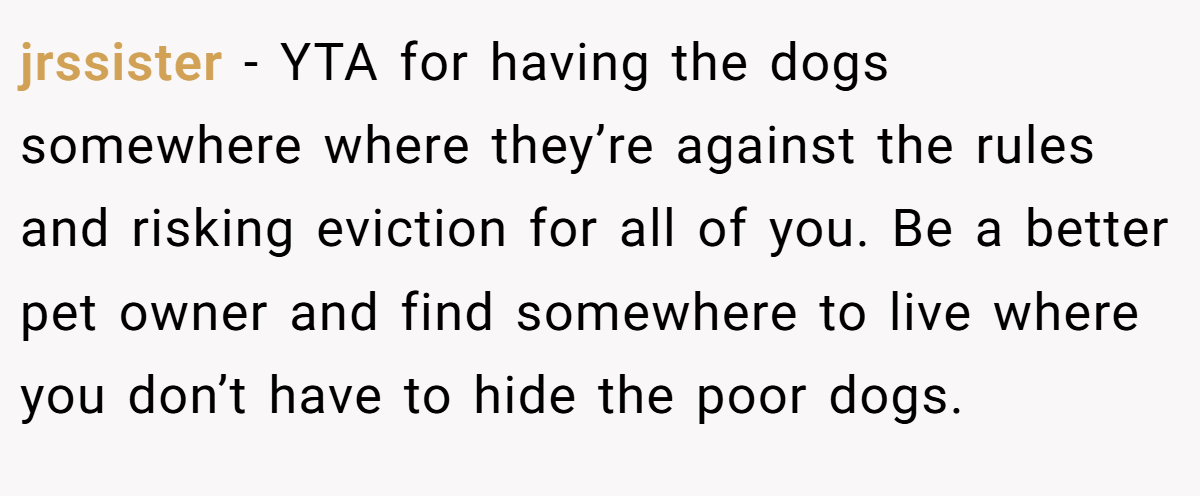 jrssister − YTA for having the dogs somewhere where they’re against the rules and risking eviction for all of you. Be a better pet owner and find somewhere to live where you don’t have to hide the poor dogs.
