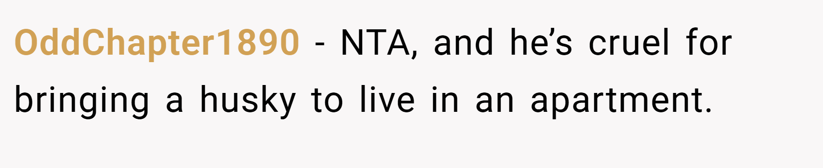OddChapter1890 − NTA, and he’s cruel for bringing a husky to live in an apartment.
