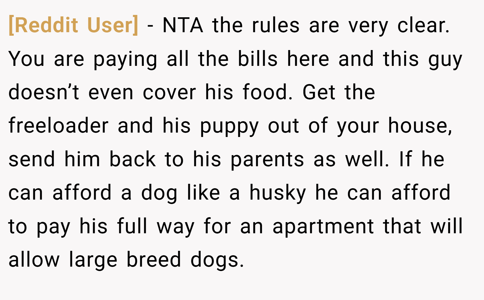[Reddit User] − NTA the rules are very clear. You are paying all the bills here and this guy doesn’t even cover his food. Get the freeloader and his puppy out of your house, send him back to his parents as well. If he can afford a dog like a husky he can afford to pay his full way for an apartment that will allow large breed dogs.