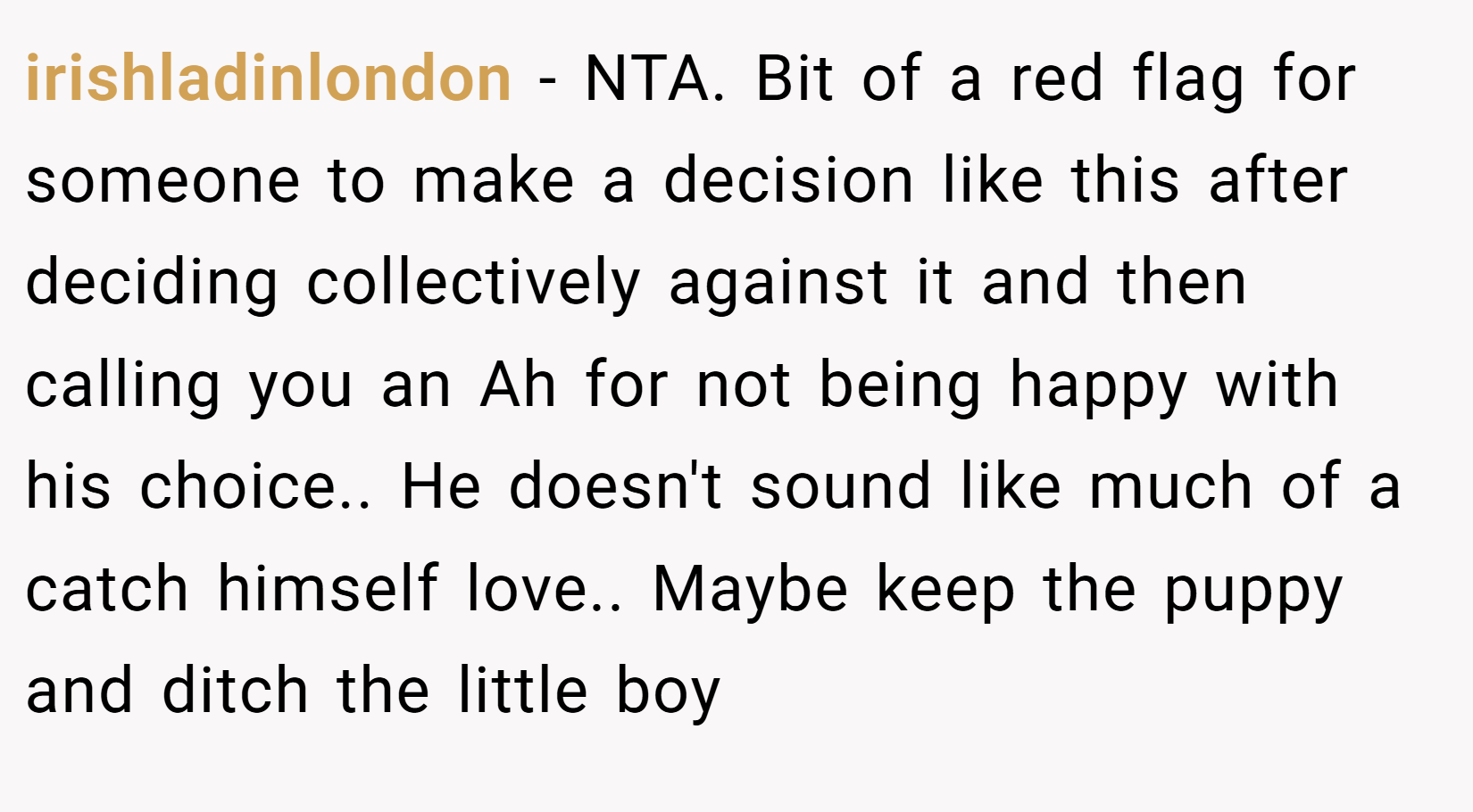 irishladinlondon − NTA. Bit of a red flag for someone to make a decision like this after deciding collectively against it and then calling you an Ah for not being happy with his choice.. He doesn't sound like much of a catch himself love.. Maybe keep the puppy and ditch the little boy