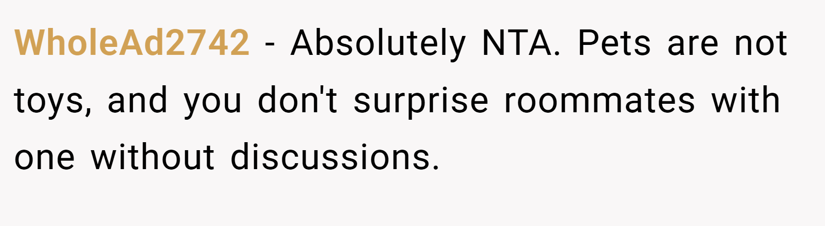 WholeAd2742 − Absolutely NTA. Pets are not toys, and you don't surprise roommates with one without discussions.