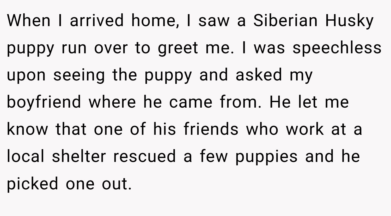 When I arrived home, I saw a Siberian Husky puppy run over to greet me. I was speechless upon seeing the puppy and asked my boyfriend where he came from. He let me know that one of his friends who work at a local shelter rescued a few puppies and he picked one out.