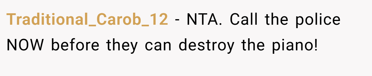 Traditional_Carob_12 − NTA. Call the police NOW before they can destroy the piano!