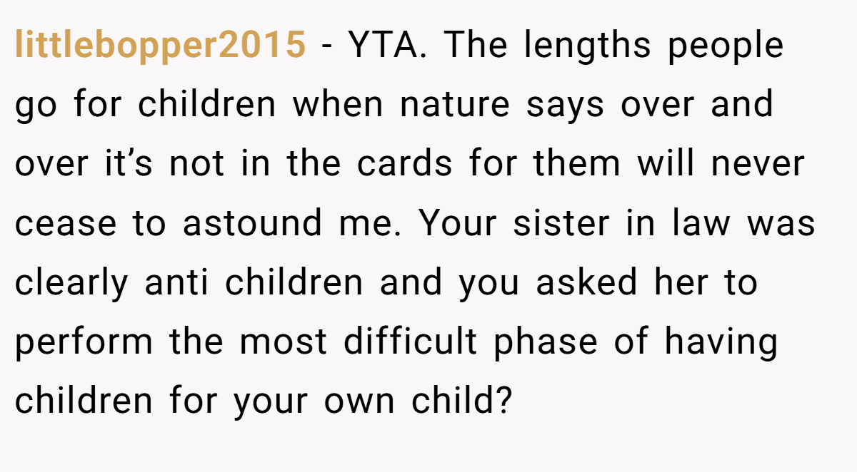 littlebopper2015 − YTA. The lengths people go for children when nature says over and over it’s not in the cards for them will never cease to astound me. Your sister in law was clearly anti children and you asked her to perform the most difficult phase of having children for your own child?