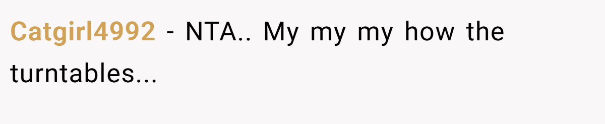 Catgirl4992 - NTA.. My my my how the turntables...